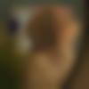 woman seeking men Bahraich near me photo - Sadduu