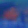 Assamese member profile Photo, Email, Address and Contact Details - Pandit