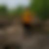Single Male - Prasenjit