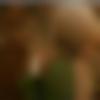 woman seeking men Haripad near me photo - Sumayya