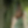 woman seeking men Nargund near me photo - Jiya
