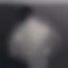 Single Male - Sukh