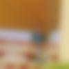 woman seeking men Gomoh near me photo - Kabita