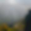 Roorkee Male Photo - Atharv