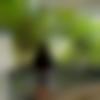 woman seeking men Bargarh near me photo - Binita