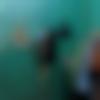 woman seeking men Arunachal Pradesh photo - Anung