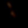 Matrimony Female Profile Lucknow