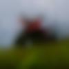 Giddarbaha Male Photo - Appukuttan777