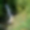 Female Photo - Afsana