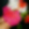 woman seeking men Basti near me photo - Siya